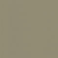 AP_107